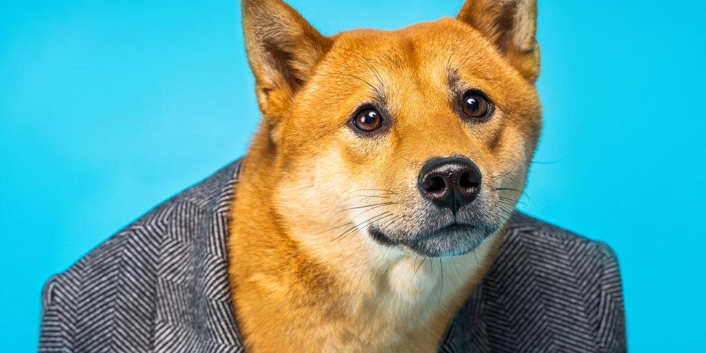 This Week, These Meme Coins Have Injected More Energy Than Dogecoin
