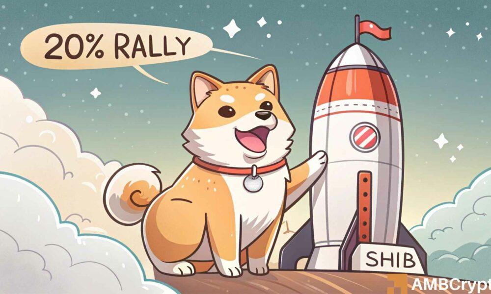 Why This Channel is Hinting at a 20% Rally for Shiba Inu - The Reason Explained